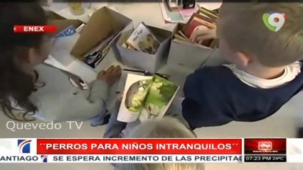 Las mejores razas de perros para los niños y la familia