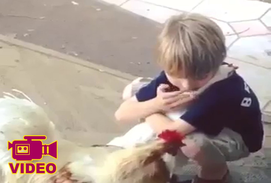 جانوروں سے محبت