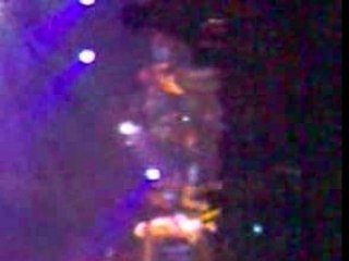 bunny wailers artéfact 2007 strasbourg