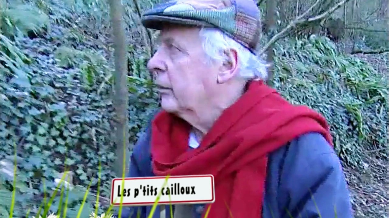 COCHON GALLO