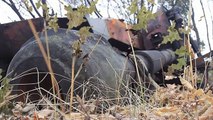 Убитые танки. Донбасс