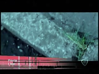 Giuseppe Povia   Il bambini fanno ooh!