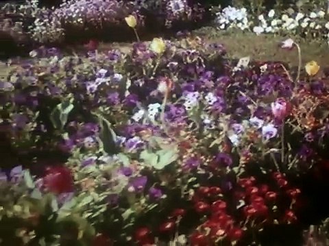 Kaliyon Ne Ghunghat Khole - Mohammad Rafi - Full Video Song