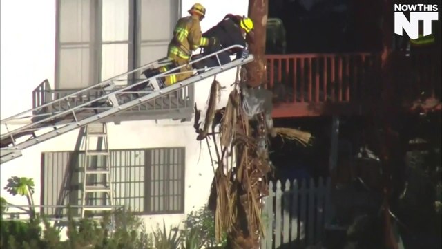 Firefighters Rescue Tree Trimmer Stuck 3 Stories Above Ground