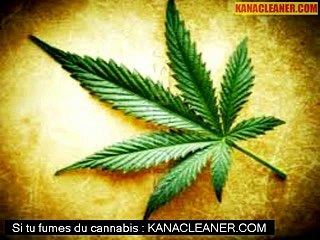 La consommation de drogue en France