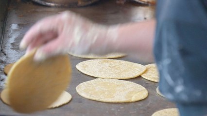 The handmade tortillas of Sunset Boulevard