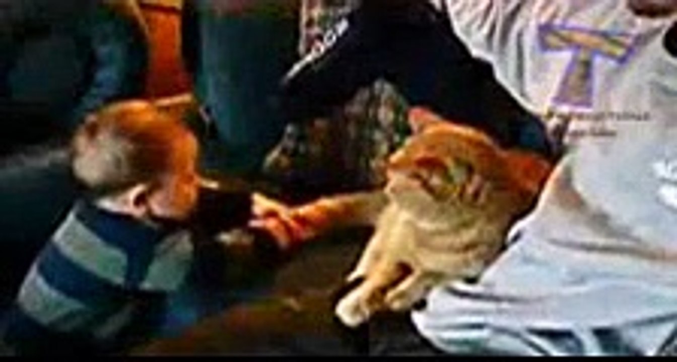 Funny and cute animal compilation 2015_Segment_4