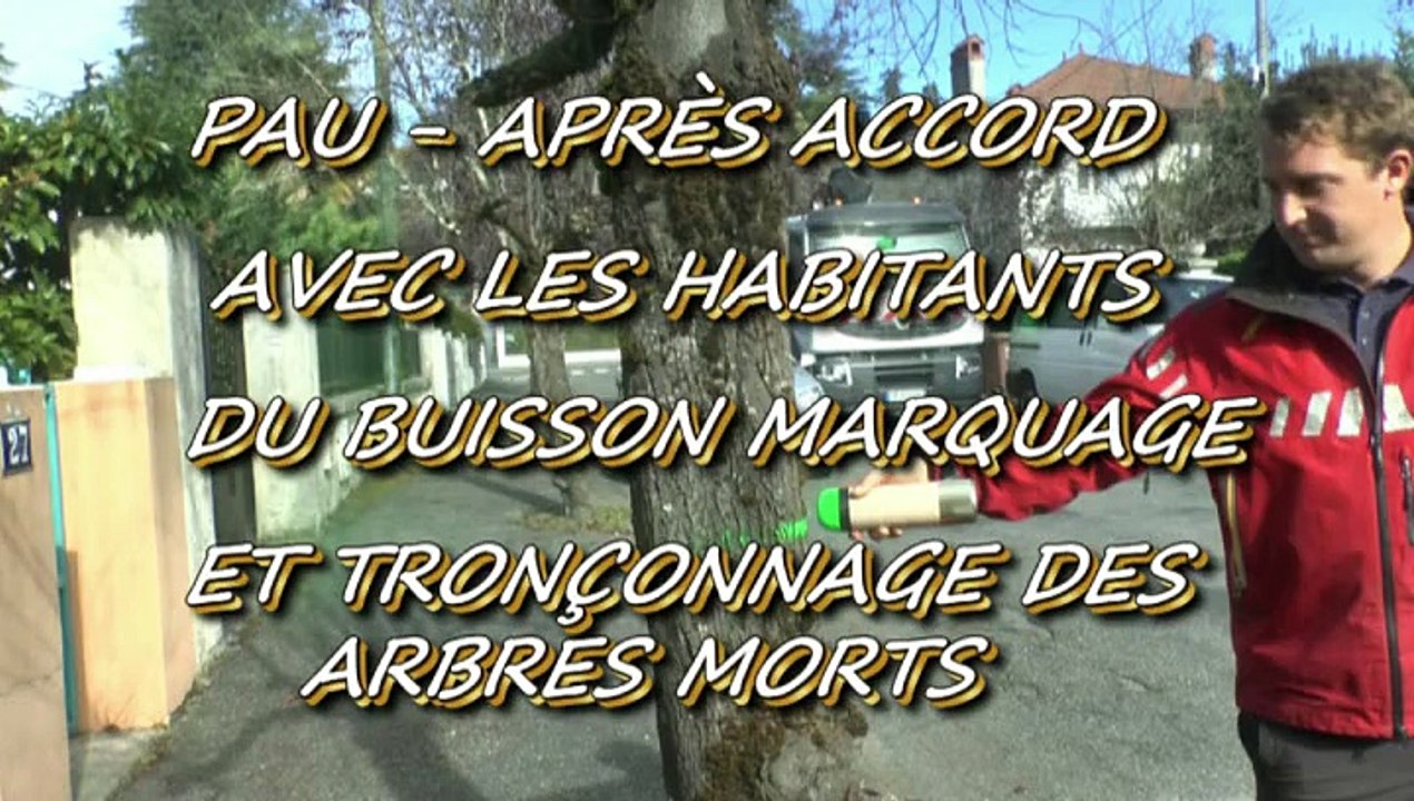LES W-D.D. MICHOU NEWS - 26 OCTOBRE 2015 - PAU -  AVEC L'ACCORD DES HABITANTDS DU QUARTIER DU BUISSON LES ARBRES MORTS SONT TRONÇONNÉS
