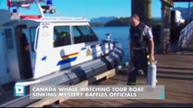 Canada whale-watching tour boat sinking mystery baffles officials