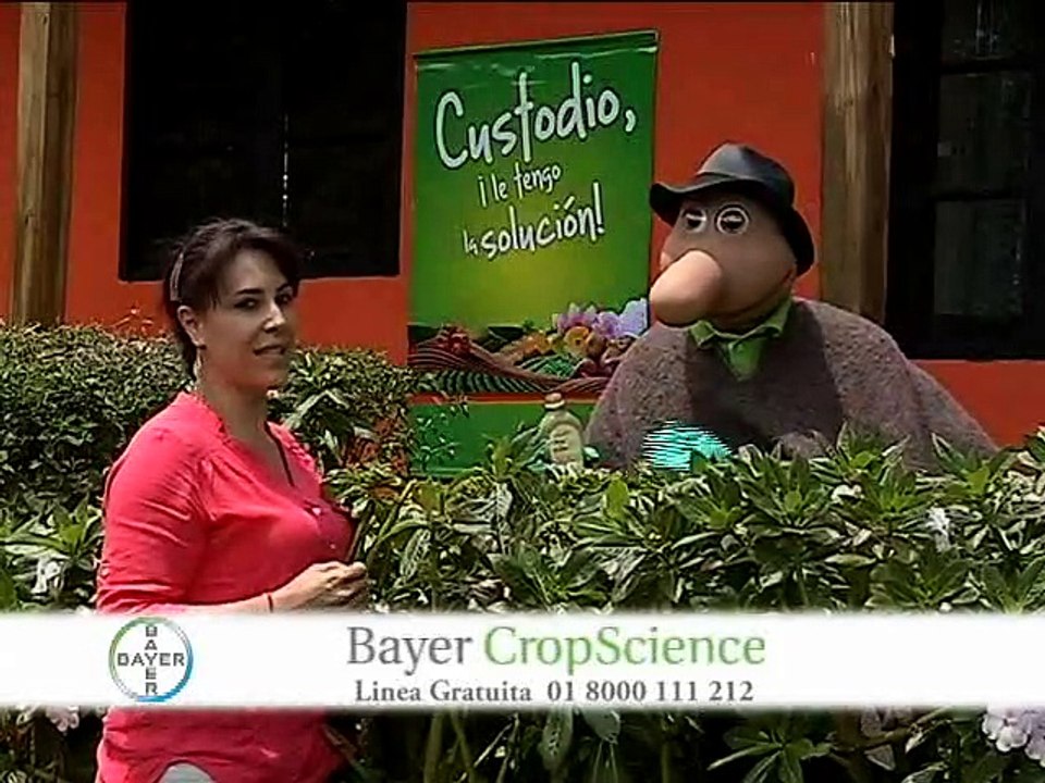 26 Octubre 2015 Subacasanare