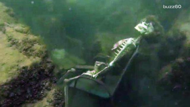 Vengeful diver removes famous fake underwater skeletons from Colorado River
