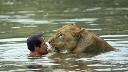 Documentaire Animalier   Le Lion Blanc   HD