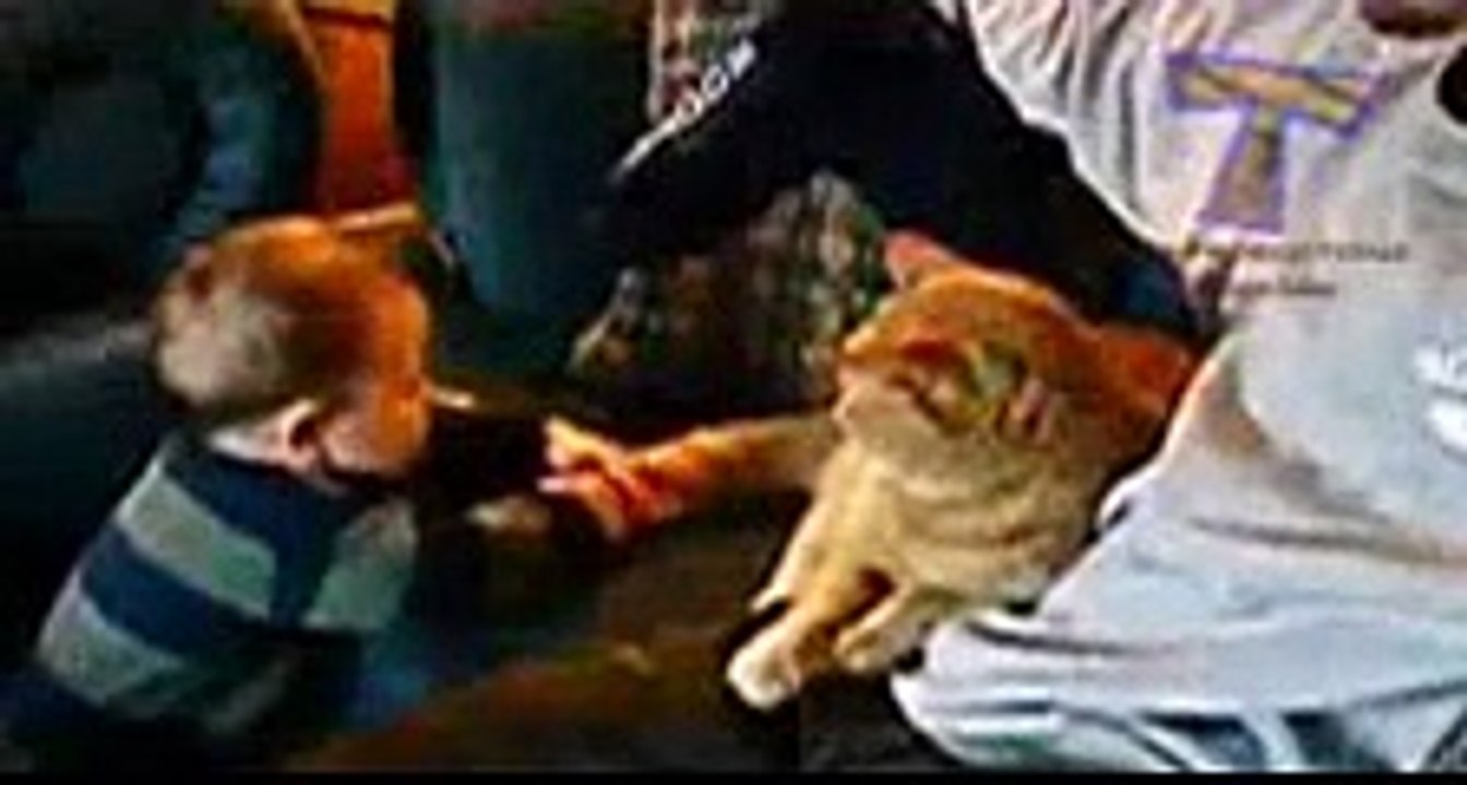 Funny and cute animal compilation 2015_Segment_4