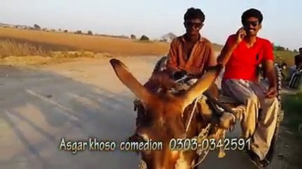 Prank call by a villiage man to girl friend