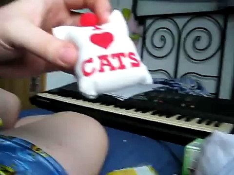 ESTE GATO ODIA EL OLOR A MENTA, jaja LAS CARAS! humor gatos - video divertido gatos chistosos