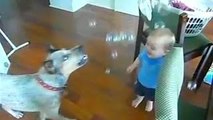Dogs And Babies Playing With Bubbles - Funny And Cute Compilation
