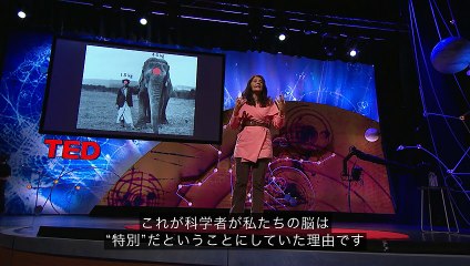 スザーナ･エルクラーノ=アウゼル-人の脳は何がそんなに特別なのでしょうか？－SuzanaHerculanoHouzel_2013G-480p-ja