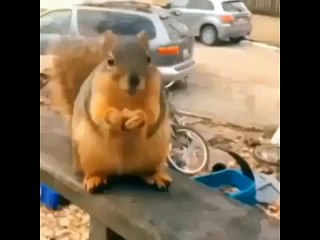 The Science Of Stupid Original Video feat FailArmy, Break, 9GAG and More! 2014 Best Fail - Komik videolar - Funny videos