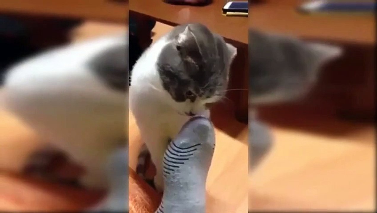 Türk İşi Yüksekten Atlama (Küfürlü) - Komik videolar - Funny videos