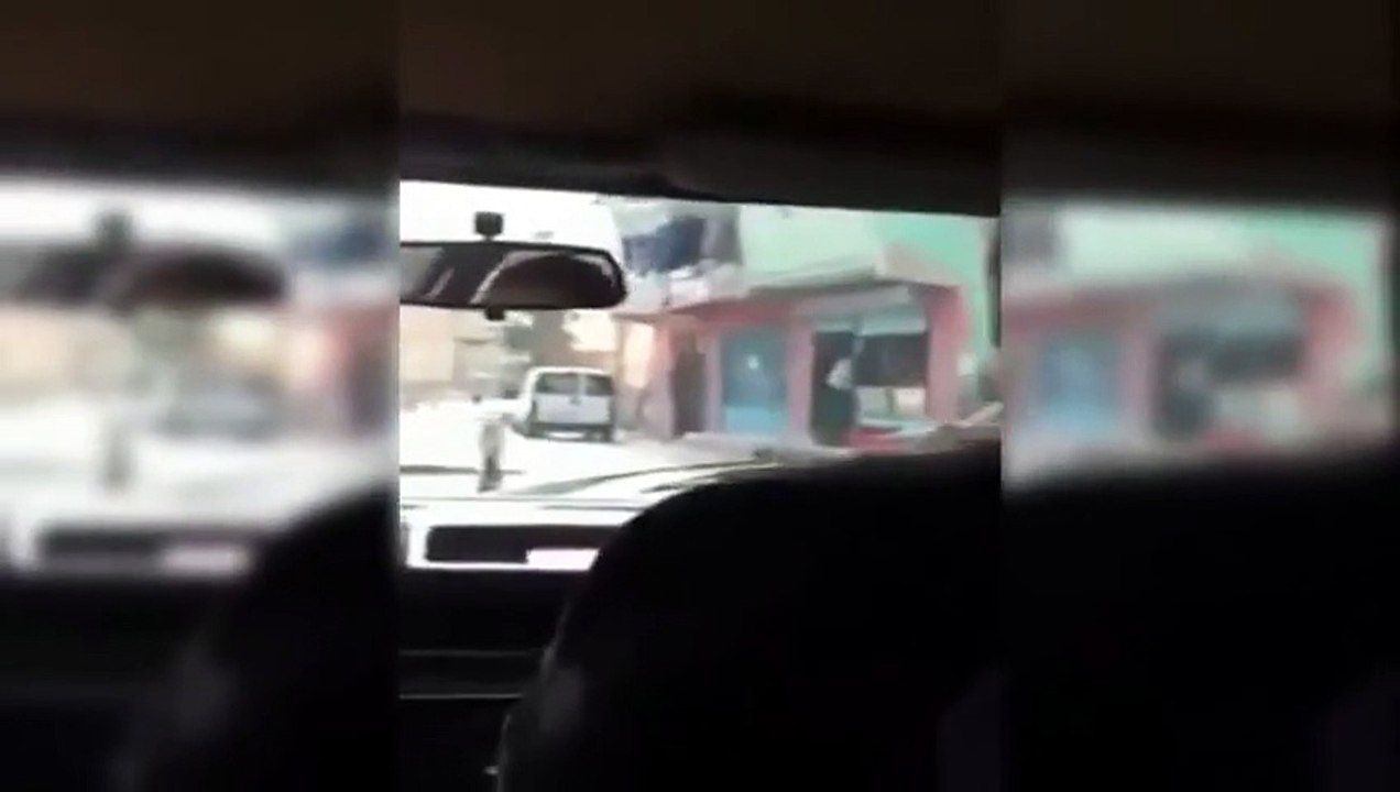 Yunus Show Blue,Horizons,dolphin,show,SeaWorld,San,Diego,orlando - Komik videolar - Funny videos