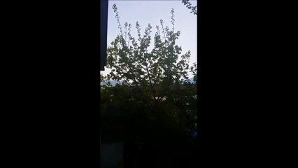 Suono o Lamento - (Canada)