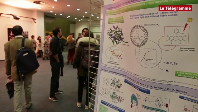 Climat. Certains signaux sont au vert