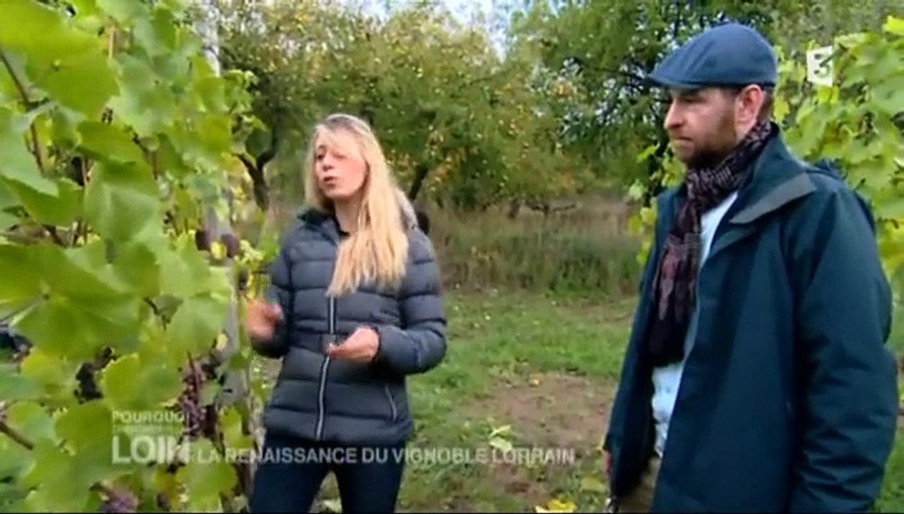 Pourquoi chercher plus loin