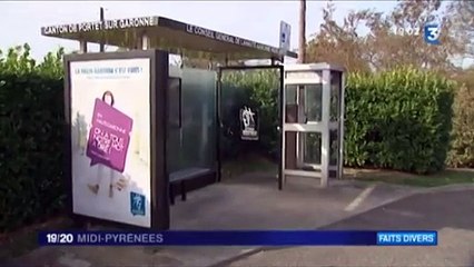 Lagardelle sur Lèze 19/20 France 3