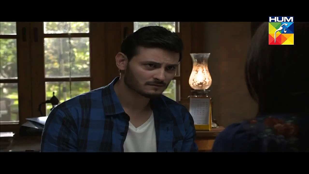 Diyar E Dil Last Episode 33 Past 2 HUM TV Drama...
