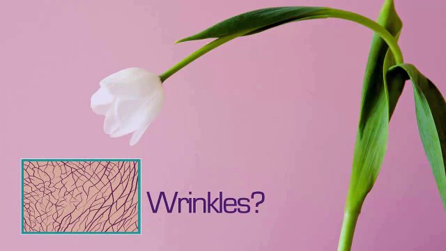 Rebecca Treston Aesthetics – Anti Aging Specialist Dubai +971 4 394 5422