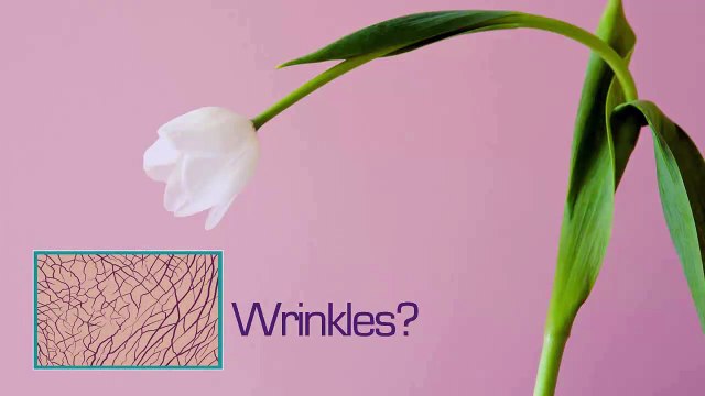 Rebecca Treston Aesthetics for Laser Hair Removal Dubai +971 4 394 5422