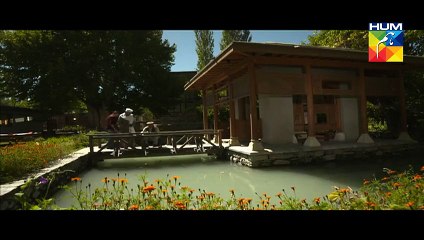 Diyar E Dil Last Episode HQ Part 1