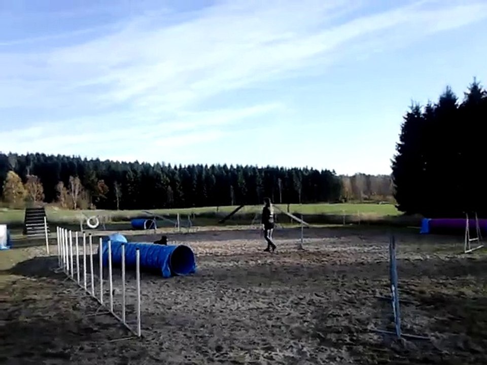 27/10 - 2015 Lille Bengt agility