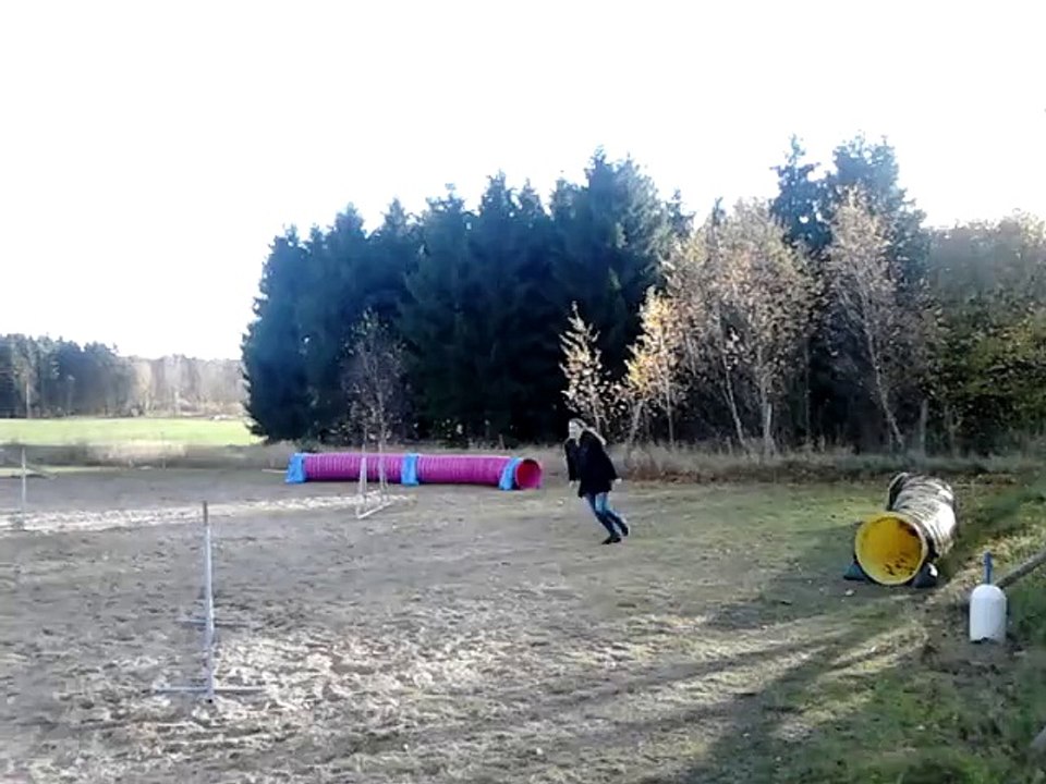 27/10 - 2015 Mini agility
