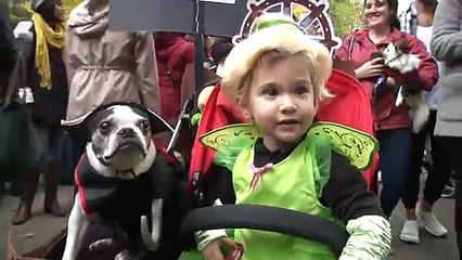 NYC Park Goes to the Dogs for Halloween Parade