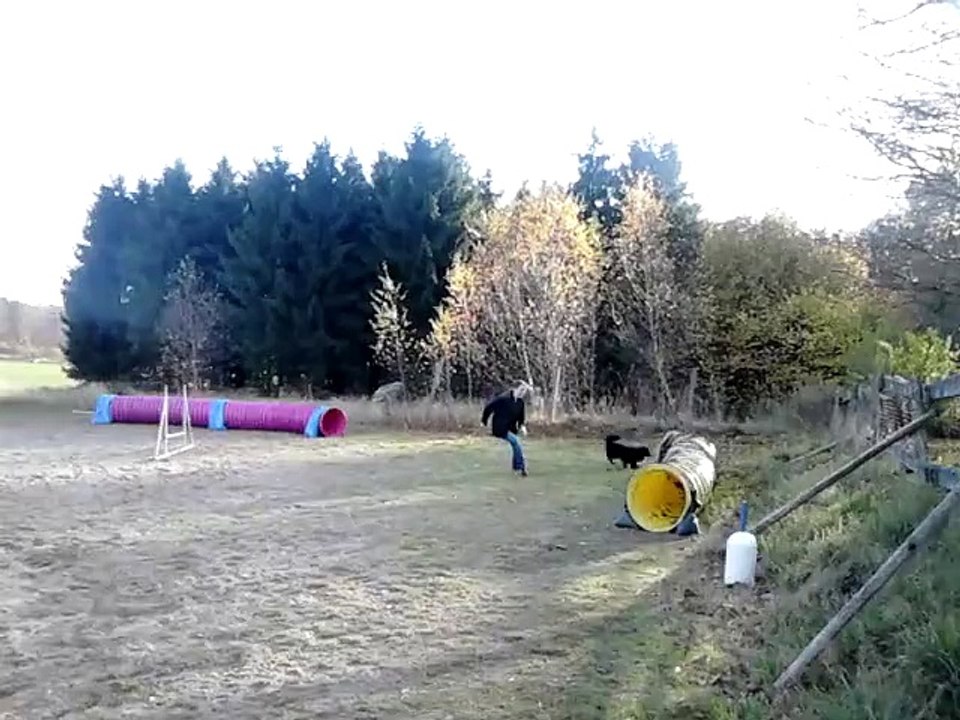 27/10 - 2015 Lille Bengt agility