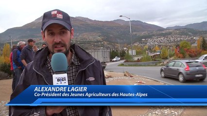 D!CI TV : Des agneaux exposés sur le rond-point de Baratier