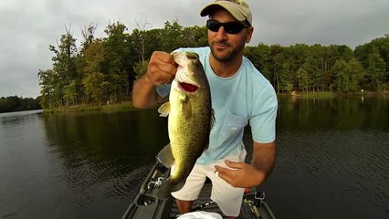 BASS FISHING (DROP SHOT WEAPON/TECHNIQUES/TACTICS)