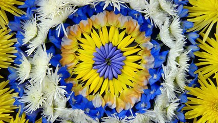 LG OLED TV Interview Series – Kathy Klein (Artist)