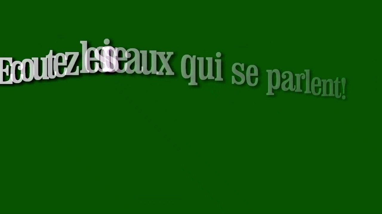 Les oiseaux se parlent!