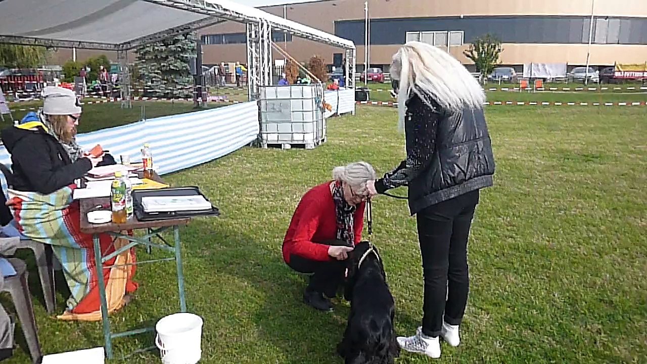 Int. Rassehundeausstellung - Regina & Xandro