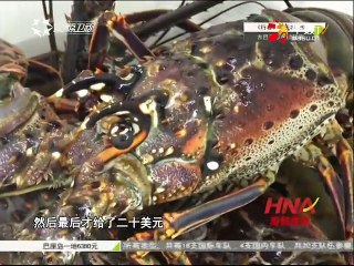 20151027 行者   跟我去旅行：海下猎手