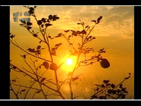 Mera Pyara Pritam Satgur | Bhai Amarjit Singh Ji Khalsa (Kurukeshtra Wale) | SHABAD GURBANI | SSG