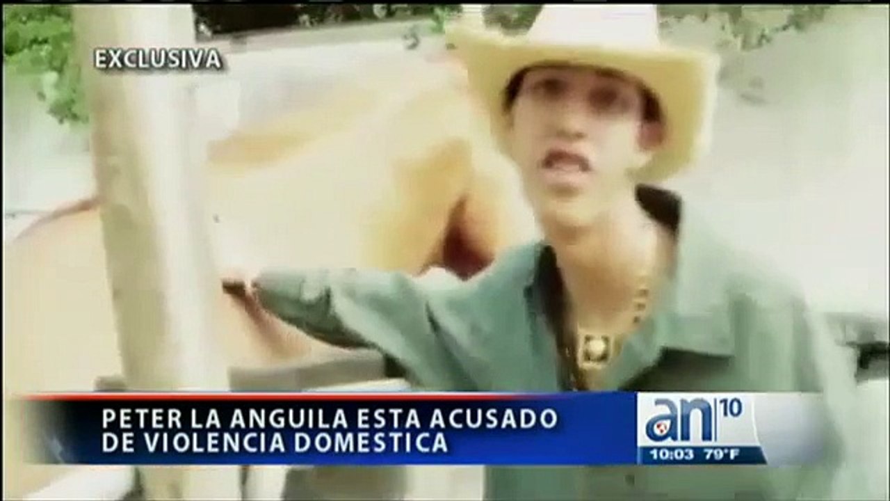 Arrestaron a Peter “La Anguila” por violencia doméstica