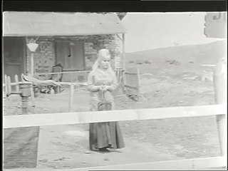 İntikam Hırsı - Türk Filmi