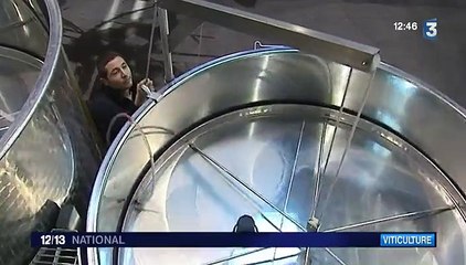 Les viticulteurs des Côtes du Rhône jubilent