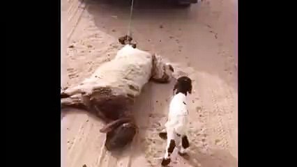 Think Twice Before Watching