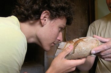 Bande-annonce : Regards sur nos Assiettes