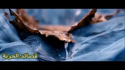 جان برو - صرخة