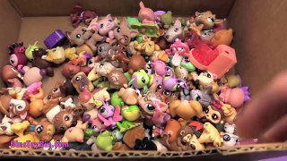 Bins Toy Bin Channel Trailer! SUBSCRIBE! Family-Friendly Videos, Everyday!
